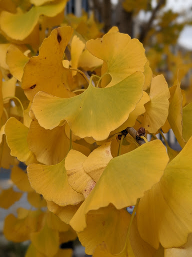 Market «Indianapolis City Market», reviews and photos, 222 E Market St, Indianapolis, IN 46204, USA