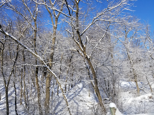 Ski Resort «Welch Village Ski & Snowboard Area», reviews and photos, 26685 County 7 Blvd, Welch, MN 55089, USA