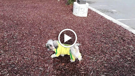 Thrift Store «GCF Donation Center & Store (Highway 42)», reviews and photos