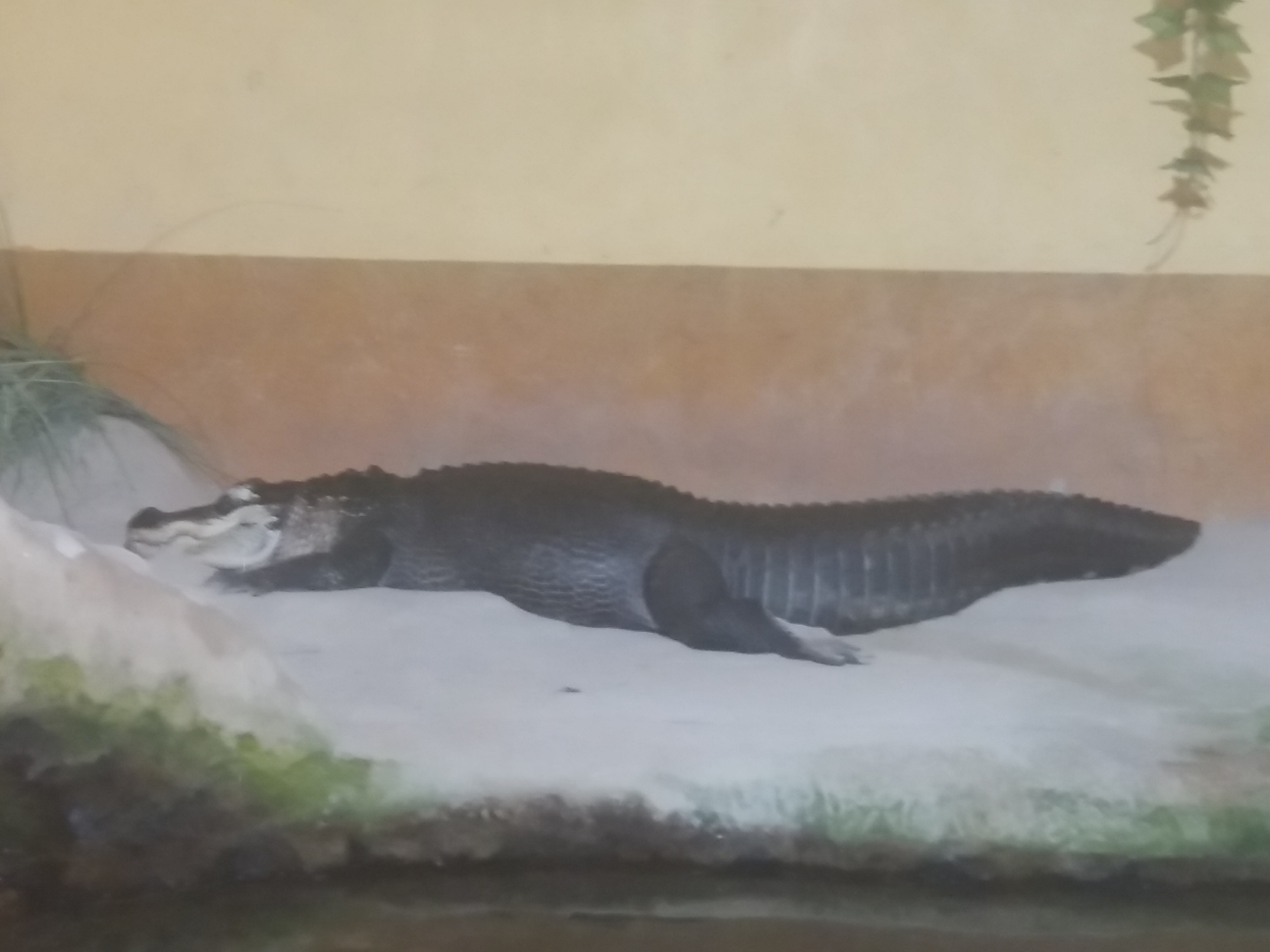 Photo n° 31 de l'avis de Damien.i fait le 21/08/2017 à 19:35