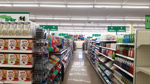 Dollar Store «Dollar Tree», reviews and photos, 950 American Legion Hwy, Boston, MA 02131, USA