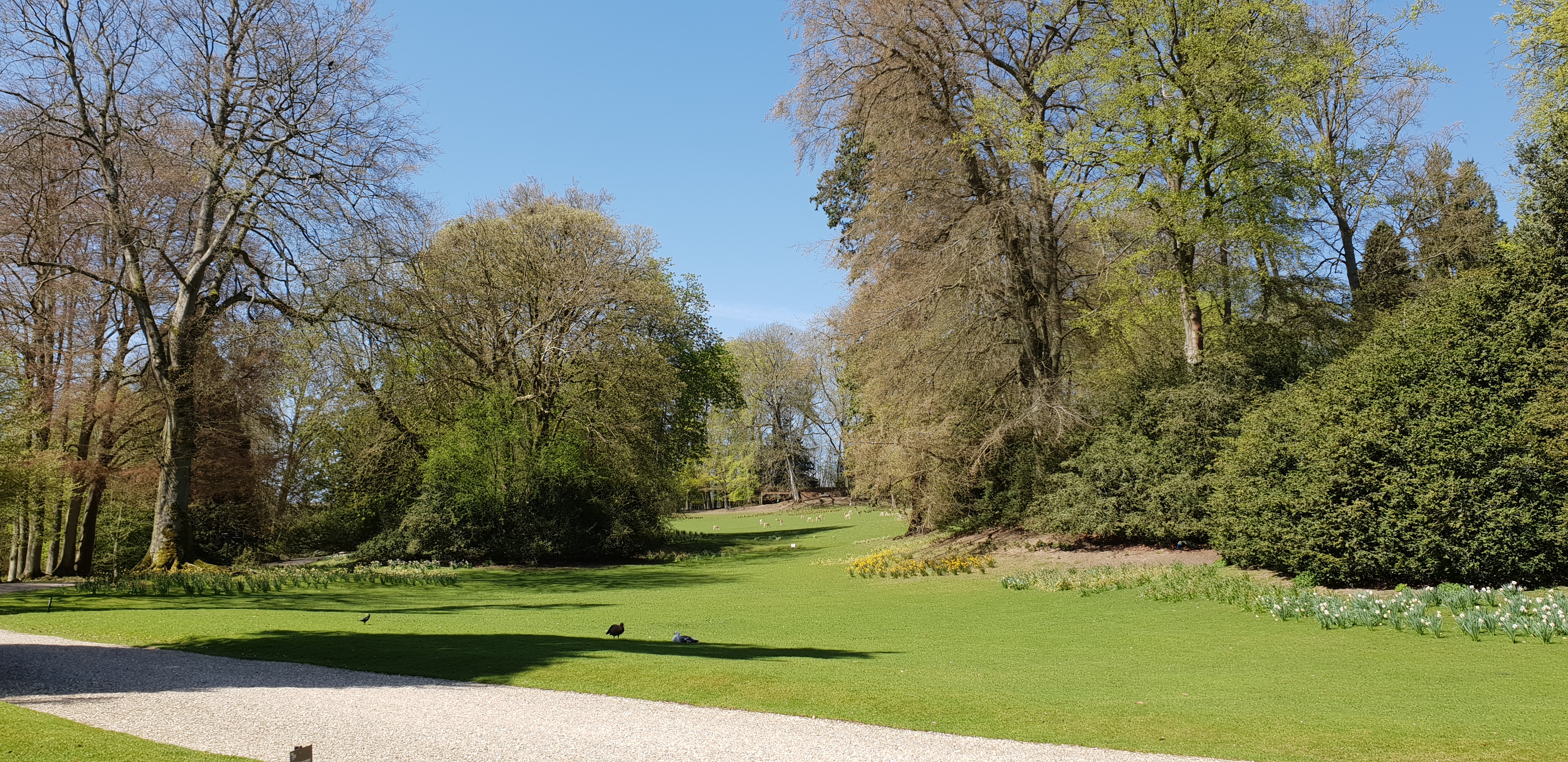 Photo n° 27 de l'avis de Dominique.A fait le 18/04/2018 à 14:35