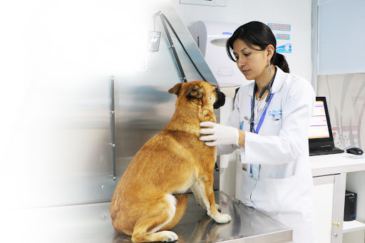 Veterinary Specialty Hospital Sinai