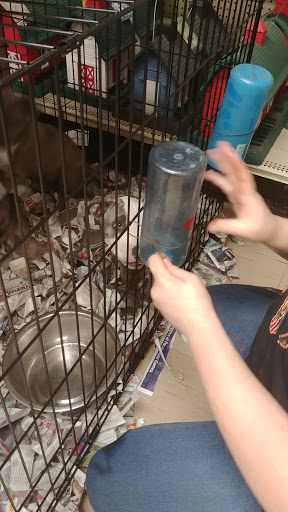 Pet Store «Liberty Agway Pet Center», reviews and photos, 11 Bon Jovi Ln, Liberty, NY 12754, USA