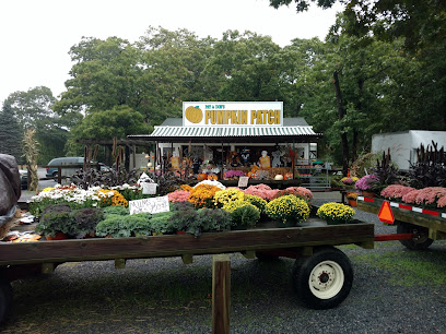 Pumpkin Patch Farm Stand