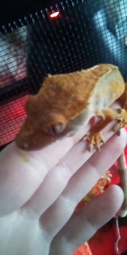 Pet Supply Store «Best Pets», reviews and photos, 905 Washington Ave, Detroit Lakes, MN 56501, USA