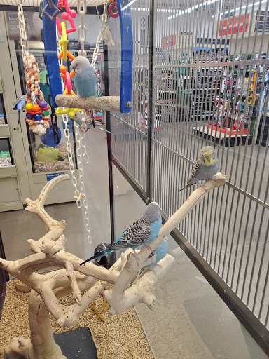 Pet Supply Store «PetSmart», reviews and photos, 11200 Prairie Lakes Dr, Eden Prairie, MN 55344, USA