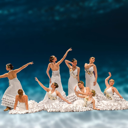 Imagen del negocio Estudio de Danza Esmeralda en Mejorada del Campo, Madrid