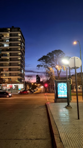Opiniones de Supermercado Redonda en Montevideo - Supermercado