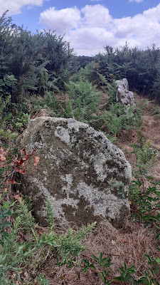 Allée couverte de Saint-Nizon à Malguénac