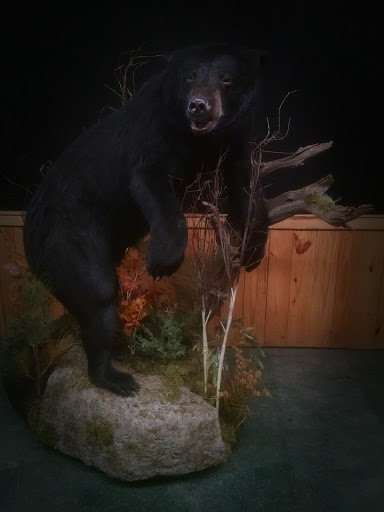 Taxidermist «HighPoint Taxidermy And Outfutters», reviews and photos, 14860 OH-13, Thornville, OH 43076, USA