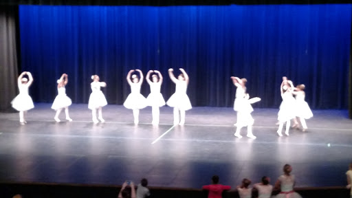 Performing Arts Theater «Jane Tasch Performing Arts Theatre», reviews and photos, 2100 E Michigan 36, Pinckney, MI 48169, USA