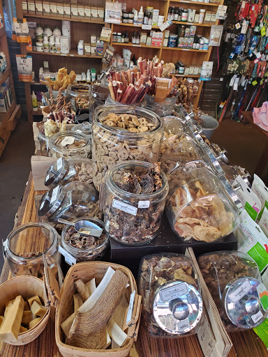 Pet Supply Store «Holistic Hound», reviews and photos, 1510 Walnut St # A, Berkeley, CA 94709, USA