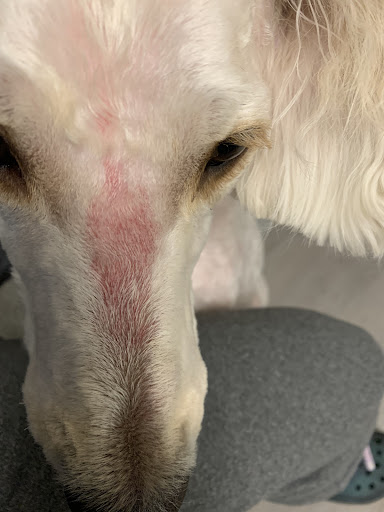 Pet Supply Store «Pet Supplies Plus», reviews and photos, 1237 Concord Pkwy N, Concord, NC 28025, USA