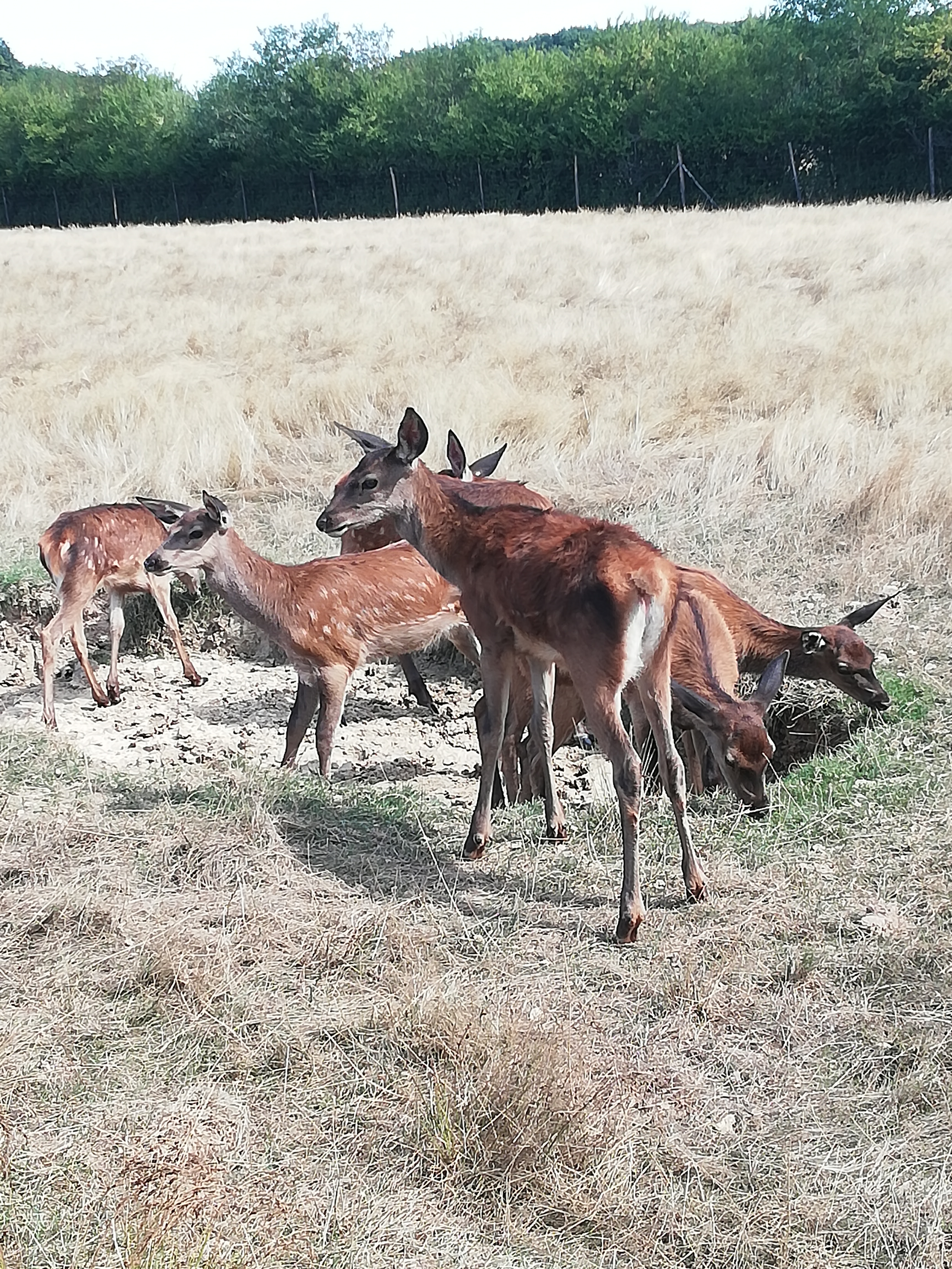 Photo n° 15 de l'avis de Severine.e fait le 23/08/2019 à 23:18