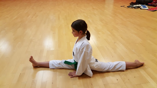 Taekwondo lessons Toulouse