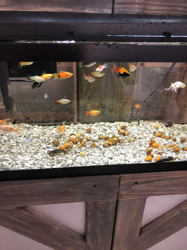 Pet Store «Land And Sea Exotic Pets», reviews and photos, 785 Seaboard Dr Ste 202, Dallas, GA 30132, USA