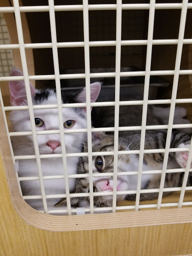 Pet Supply Store «Petco Animal Supplies», reviews and photos, 2807 Wilma Rudolph Blvd, Clarksville, TN 37040, USA