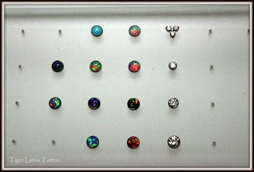 Tattoo Shop «Tiger Lotus Tattoo and Piercing», reviews and photos, 17230 S Tamiami Trail, Fort Myers, FL 33908, USA