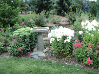 ProScapes - Photo 6 - Car repair in Eagan, MN, St. Paul