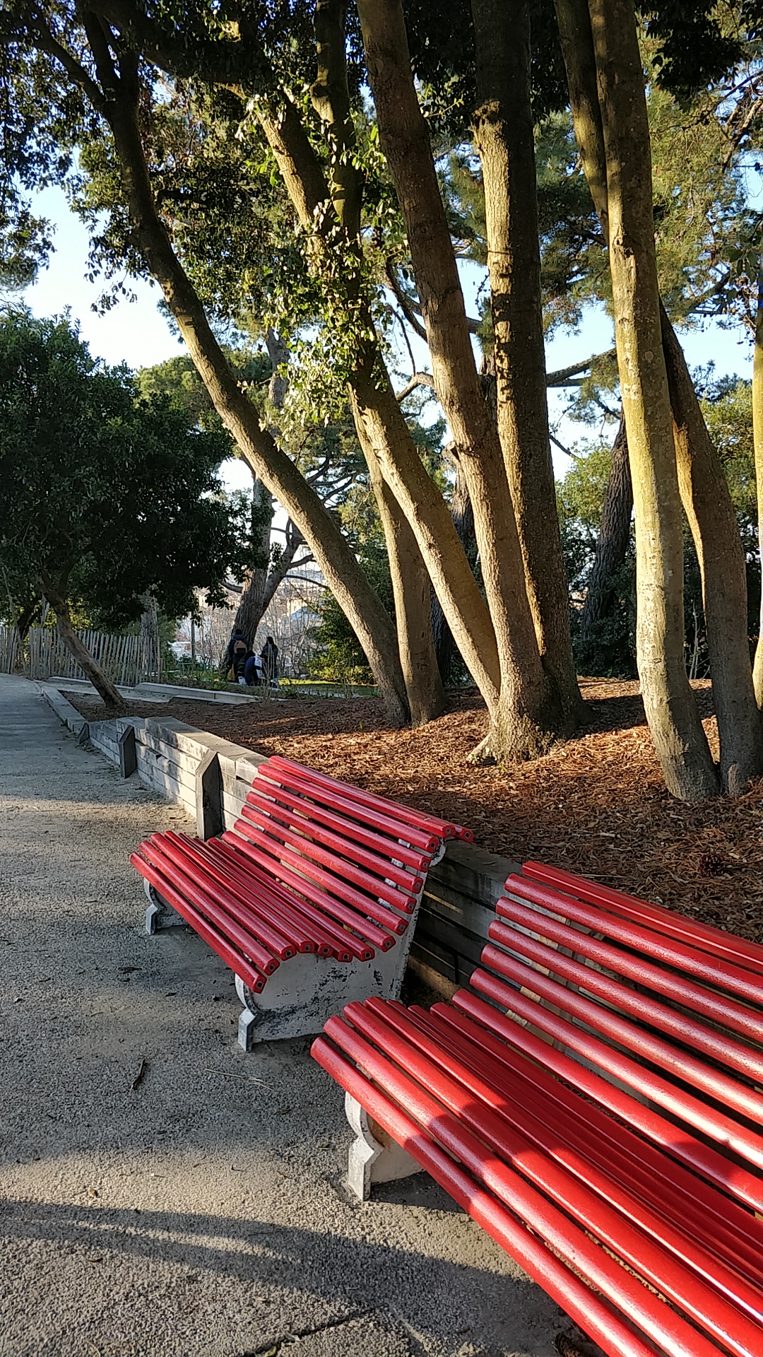 Photo n° 2 de l'avis de Benoit.a fait le 26/02/2022 à 16:48