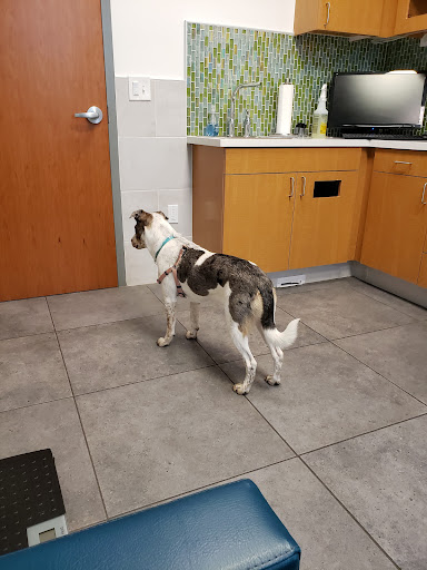 Crossover Veterinary Clinic image