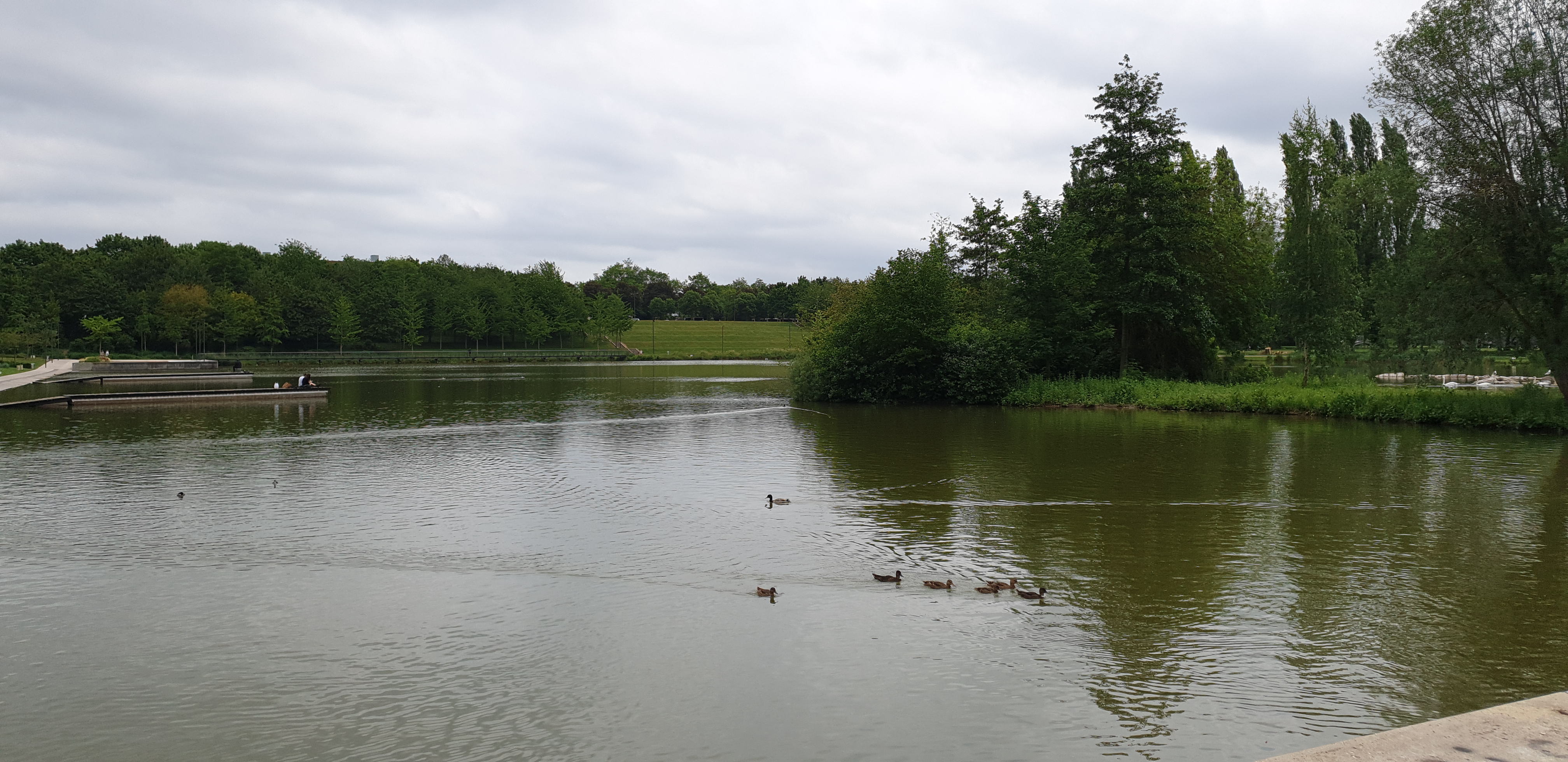 Photo n° 4 de l'avis de SEGARD.l fait le 05/07/2019 à 16:20