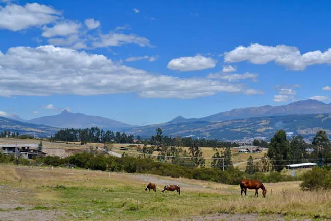 Campamento Turistico La Fortuna - Quito