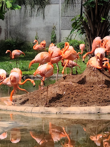 Zoo «Riverbanks Zoo and Garden», reviews and photos, 500 Wildlife Pkwy, Columbia, SC 29210, USA