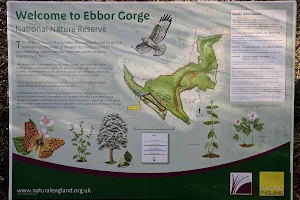 Ebbor Gorge National Nature Reserve image