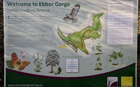 Ebbor Gorge National Nature Reserve image
