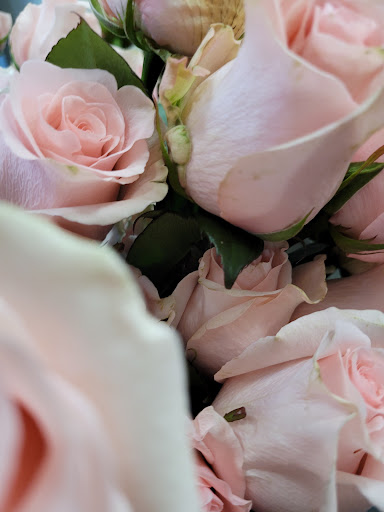 Florist «Events in Bloom», reviews and photos, 9637 Palm River Rd, Tampa, FL 33619, USA