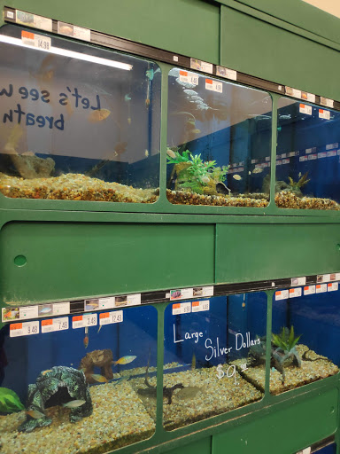 Pet Supply Store «Pet Supplies Plus», reviews and photos, 4024 Elkhart Rd #27, Goshen, IN 46526, USA