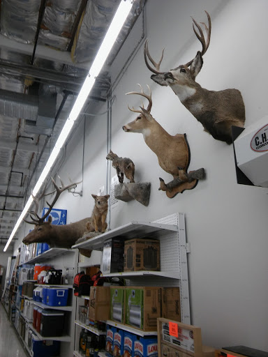 Hardware Store «Fortuna Ace Hardware & Garden Inc», reviews and photos, 140 S Fortuna Blvd, Fortuna, CA 95540, USA