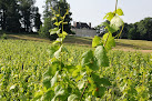 Domaine Polette Pagny-le-Château