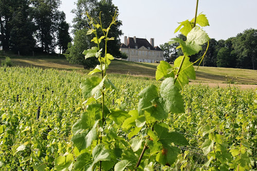 Magasin de vins et spiritueux Domaine Polette Pagny-le-Château