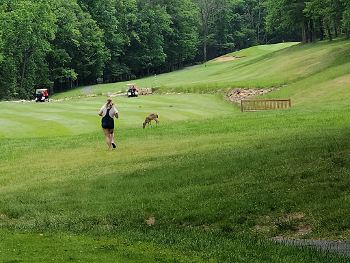 Golf Course «Mountain Greens Golf Course», reviews and photos, 1822 Resort Drive, McGaheysville, VA 22840, USA