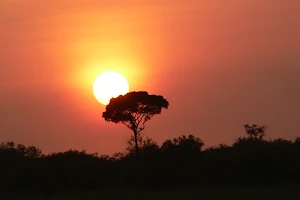 Kenya Safaris Holiday image