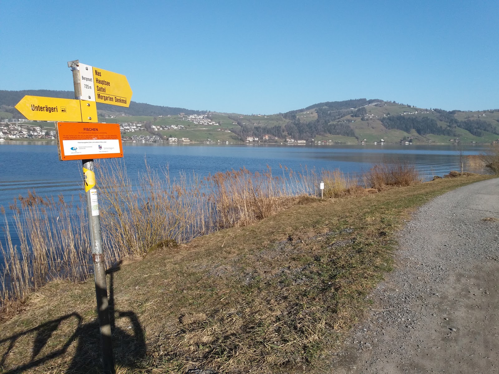 Foto av Bergwald Beach vildmarksområde