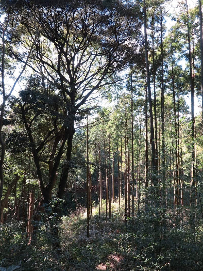 社護神社