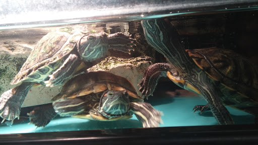 Pet Supply Store «Petco Animal Supplies», reviews and photos, 85 State St, Orem, UT 84058, USA