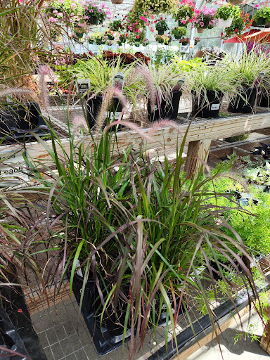 Garden Center «Binghamton Agway», reviews and photos, 145 Broad Ave, Binghamton, NY 13904, USA