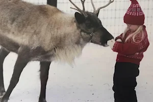 Leavenworth Reindeer Farm image