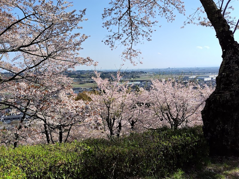 館山公園