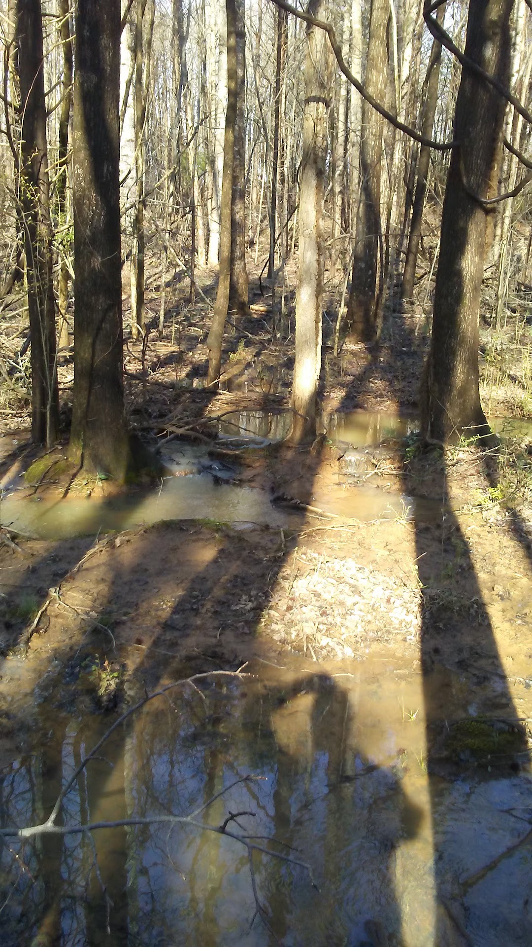 Mays Wholesale Flowers Inc