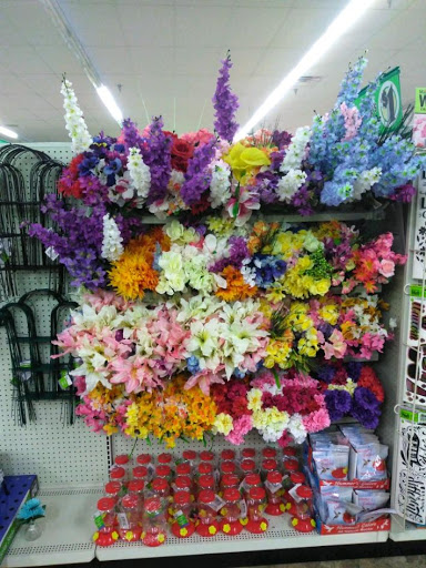 Dollar Store «Dollar Tree», reviews and photos, 1245 MacDade Boulevard, Woodlyn, PA 19094, USA