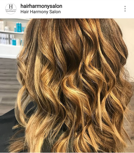 Hair Salon «Hair Harmony Salon», reviews and photos, 46400 Benedict Dr #9, Sterling, VA 20164, USA