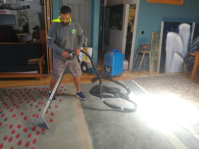 Mrgreencarpets Carpet & Upholstery Cleaning - Lower Hutt