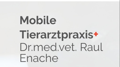 Mobile Tierarztpraxis für Pferde und Kleintiere Regenstauf unter Regenstauf, Bayern
