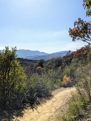 Mountain campsites in Los Angeles